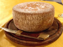 Mastroporo - Il pecorino stravecchio